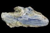 Vibrant Blue Kyanite Crystal Cluster - Brazil #97962-1